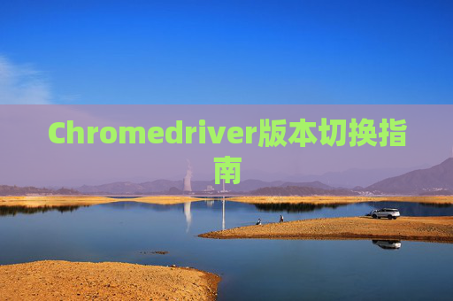 Chromedriver版本切换指南